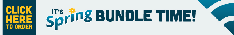 Spring Bundle